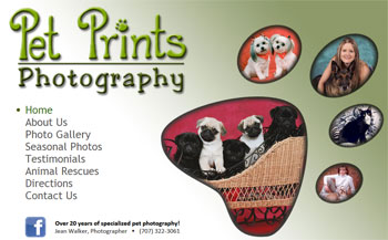Pet Prints Photography