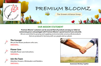 Premium Bloomz
